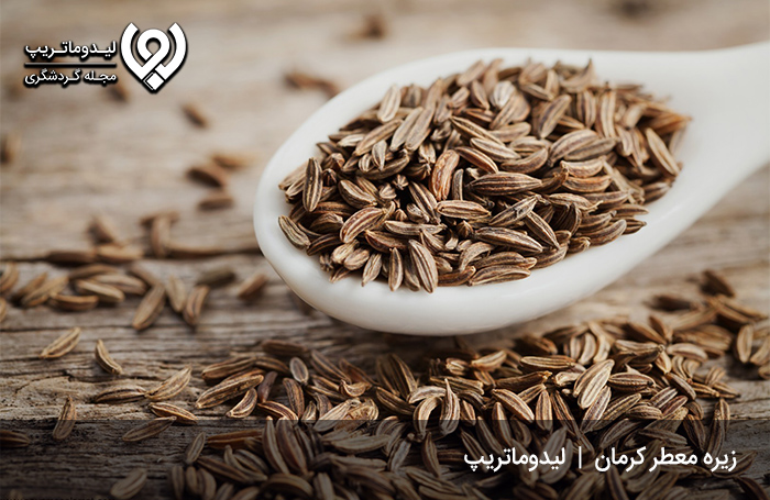 زیره-کرمان،-دانه‌ای-معطر