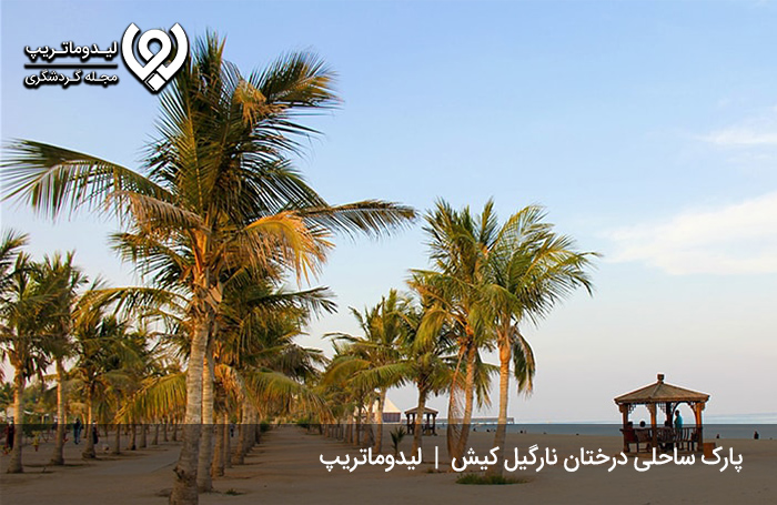 ساحل-درختان-نارگیل؛-پارکی-با-درختان-زیبای-نارگیل-و-لور