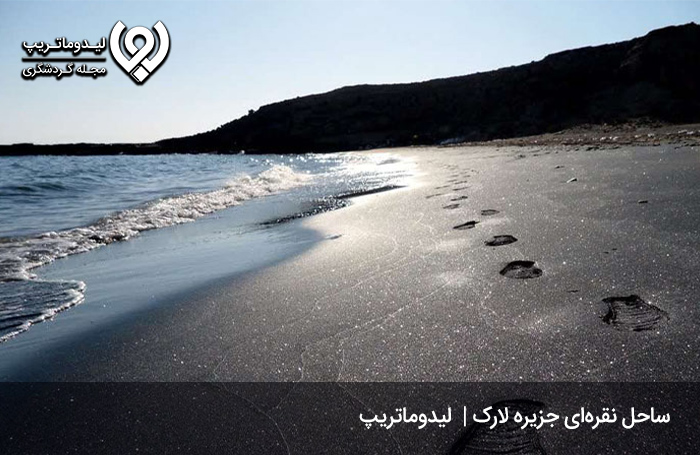 ساحل-پلانکتون-و-نقره‌ای-در-جزیره-لارک-قشم