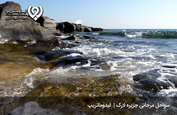 سواحل-مرجانی-لارک