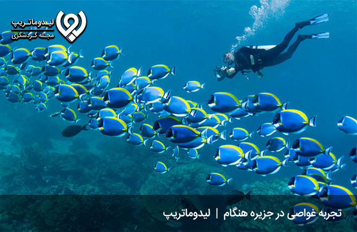 غواصی؛-تجربه-تماشای-دنیای-شگفت-انگیز-زیر-آب