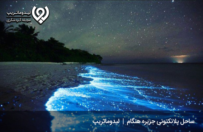 فیتوپلانگتون‌ها
