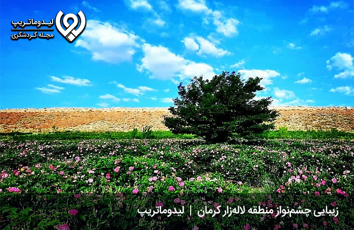لاله-زار-کرمان-کجاست؟