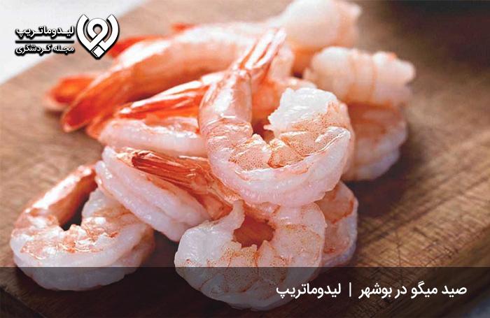 ماهی-و-میگو-لذیذ-و-تازه-بوشهر