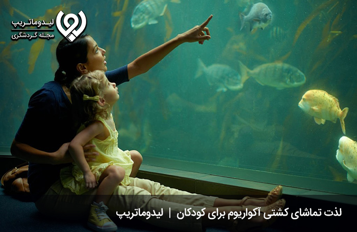 کشتی آکواریوم؛ تماشای موجودات دریایی