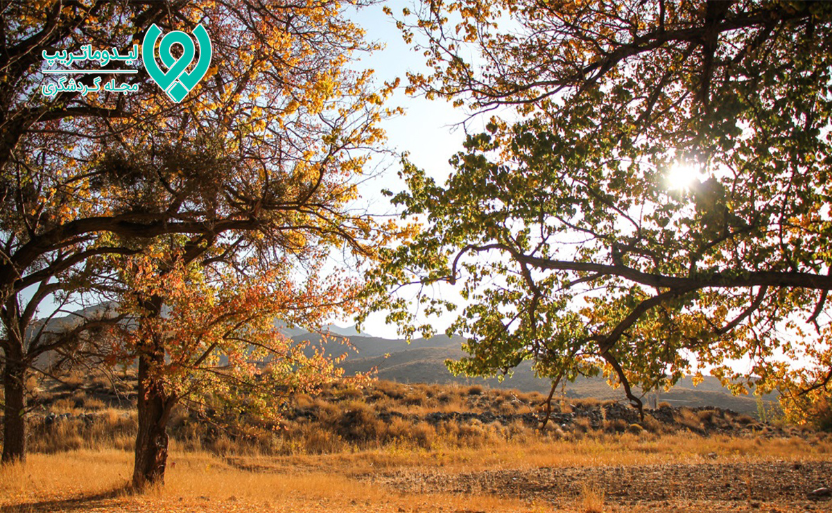 کوهپایه کرمان کجاست؟