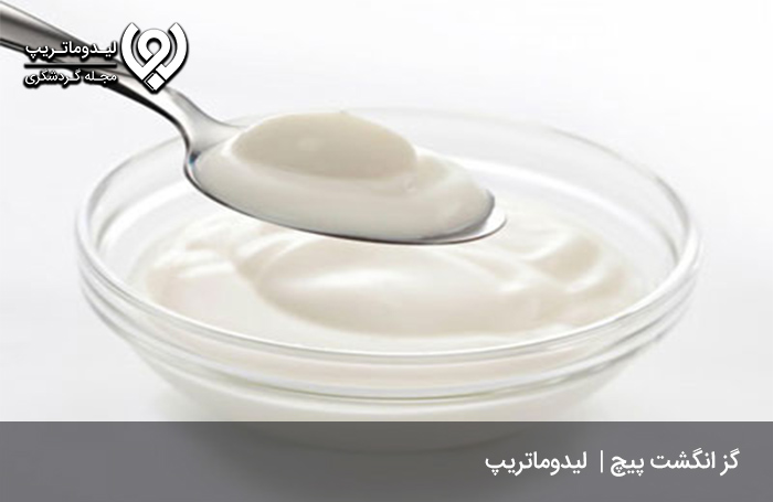 گز-انگشت-پیچ