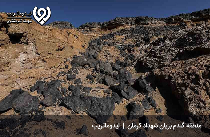گندم بریان شهداد کجاست؟