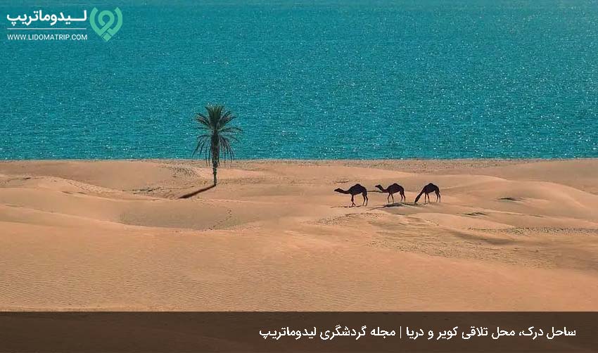 بازدید از ساحل درک در سفر به چابهار