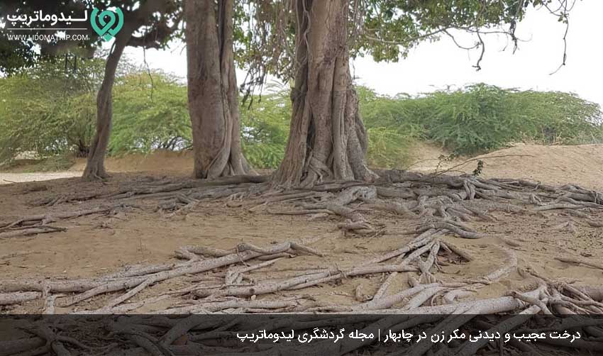 بازدید از دیدنی های چابهار و راهنمای سفر به چابهار