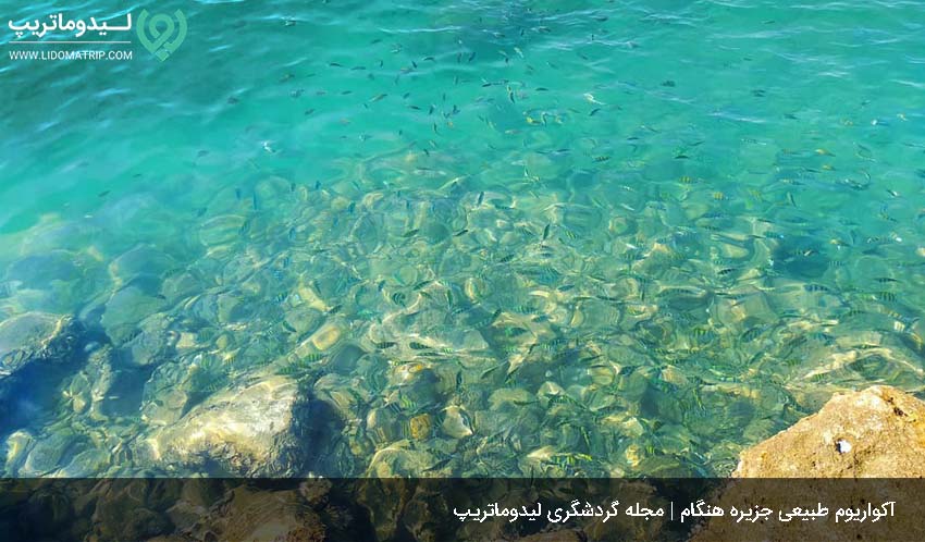 آکواریوم طبیعی از دیدنی های جزیره هنگام