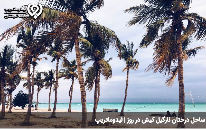 بهترین زمان رفتن به ساحل درختان نارگیل کیش