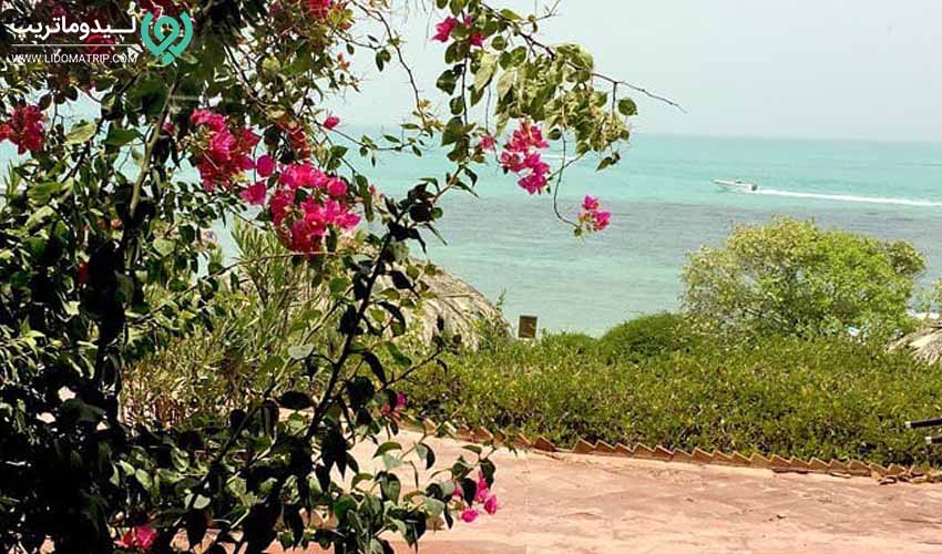 دیدنی های کیش در بهار