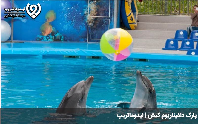 دلفیناریوم کیش