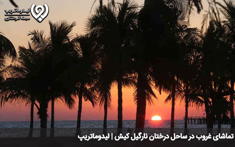 غروب در ساحل درختان نارگیل