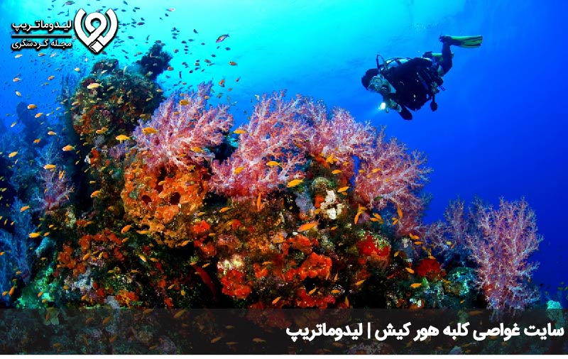 غواصی در ساحل کلبه هور کیش