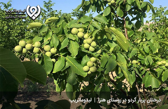 روستائیان-و-مردم-روستای-هنزا-کرمان