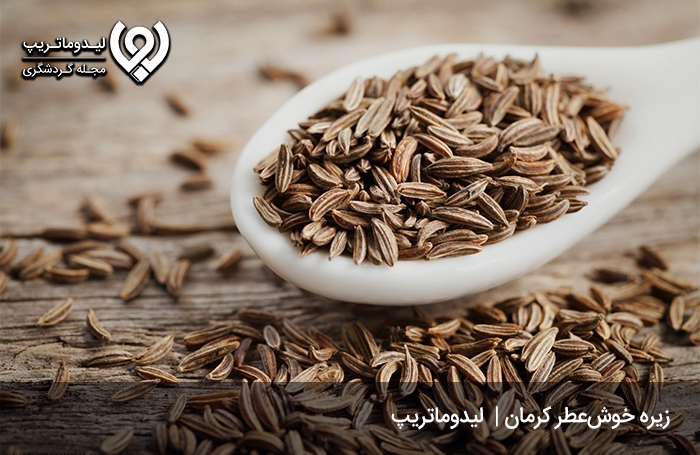 زیره؛-محصول-کشاورزی-صادراتی-کرمان