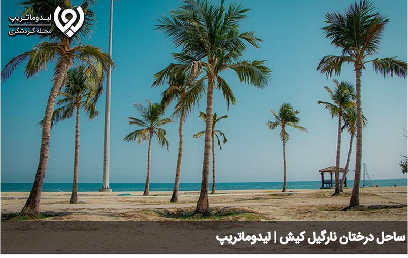 ساحل درختان نارگیل کیش