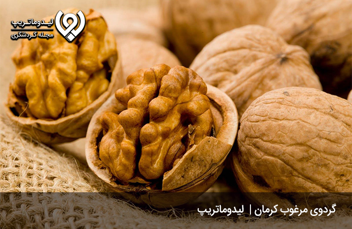 گردو؛-سوغاتی-مقوی-کرمان
