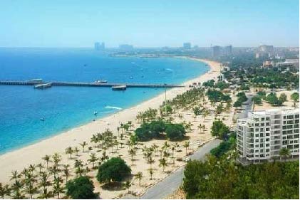 ساحل درختان نارگیل کیش