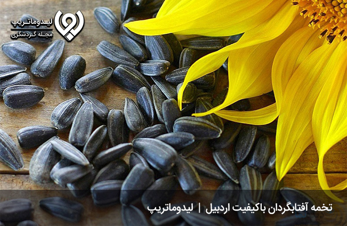 تخمه-آفتابگردان-منطقه-اردبیل
