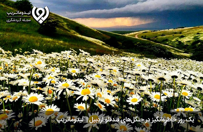 · جنگل‌های فندق‌لو| سفرنامه اردبیل