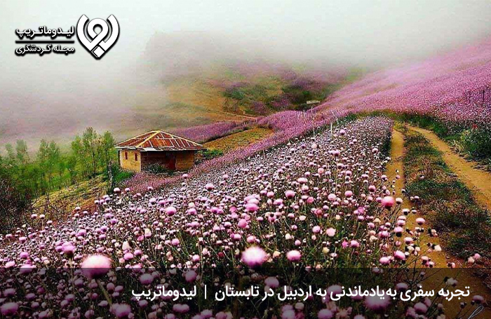 جاهای-دیدنی-اردبیل-در-تابستان