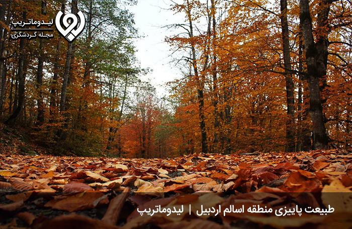 جاهای-دیدنی-اردبیل-در-پاییز