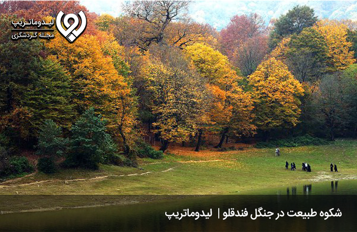 جنگل-فندقلو؛-مجموعه‌ای-تفریحی