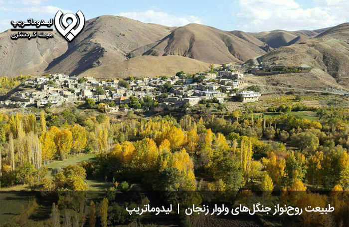 جنگل‌های ولوار؛ یکی از زیباترین جاذبه‌ های گردشگری زنجان