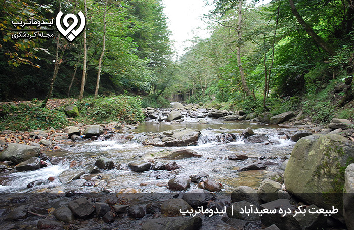 دره سعیدآباد؛ درهای سرسبز و خوش آبوهوا