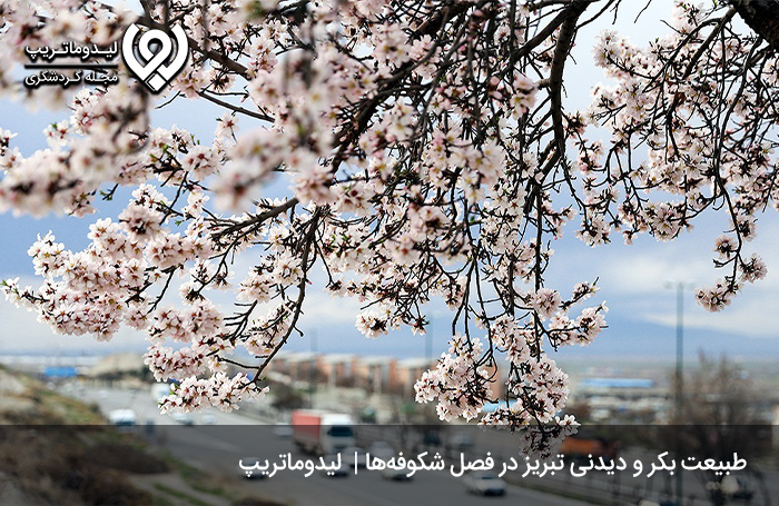 سفر-به-تبریز-در-بهار-پر-از-شکوفه-و-باطراوت
