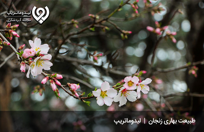 سفر-به-زنجان-در-بهار