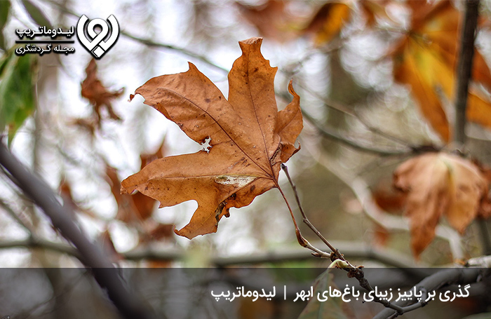 سفر-به-زنجان-در-پاییز