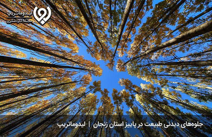سفر به زنجان در پاییز؛ لذت دیدن طبیعت هزار رنگ زنجان