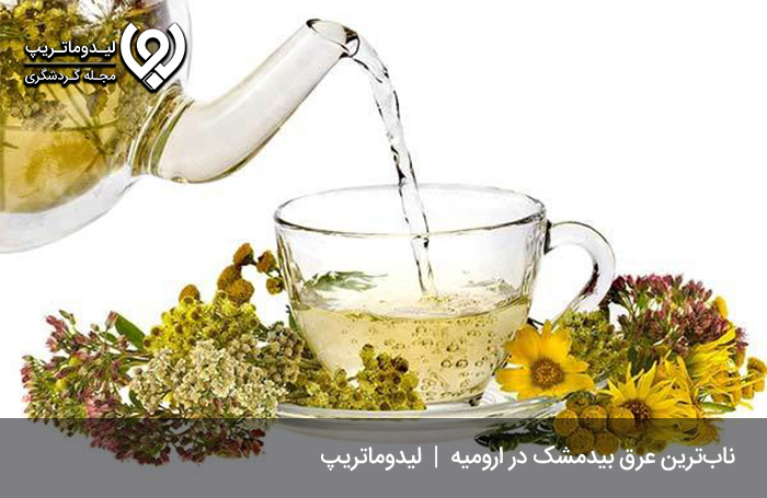 عرق-بیدمشک؛-گیاهی-با-خواص-دارویی
