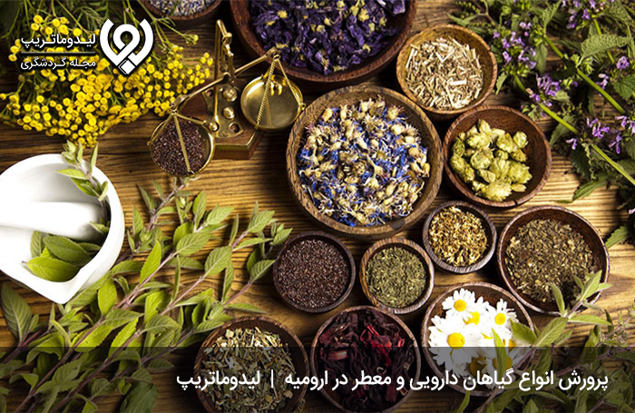 عرقیات-ارومیه؛-عطر-و-طعمی-ماندگار