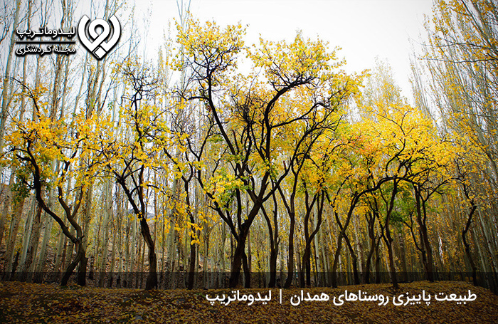عکس‌های-جاهای-دیدنی-همدان؛-تصاویری-جذاب-و-زیبا-از-همدان