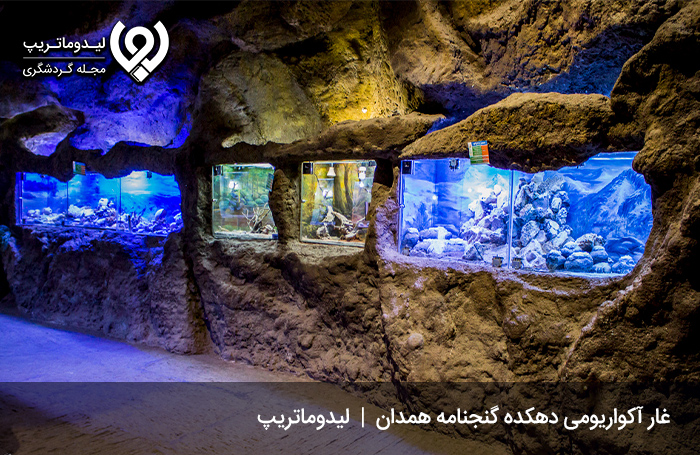 غار-آکواریوم-گنج-نامه؛-تلفیقی-از-علم-و-سرگرمی