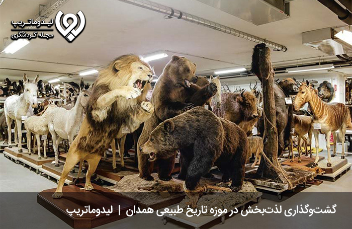 موزه-تاریخ-طبیعی-همدان؛-موزه‌ای-در-دانشکده-کشاورزی-همدان