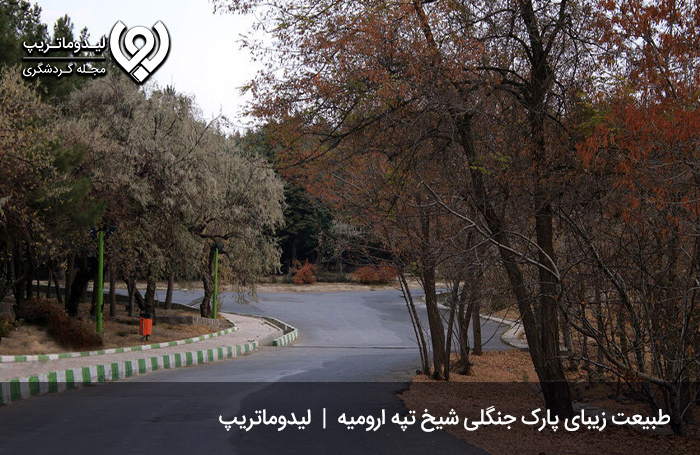 پارک جنگلی شیخ تپه؛ از زیباترین مراکز گردشگری ارومیه