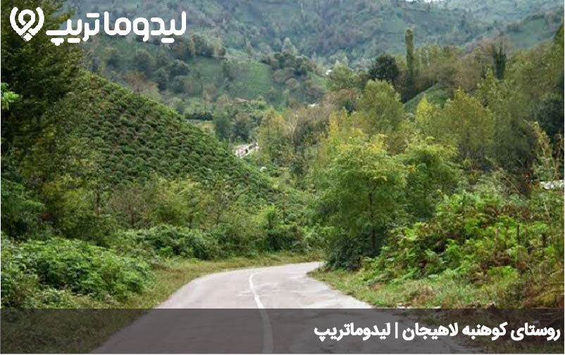 کوهنبه لاهیجان
