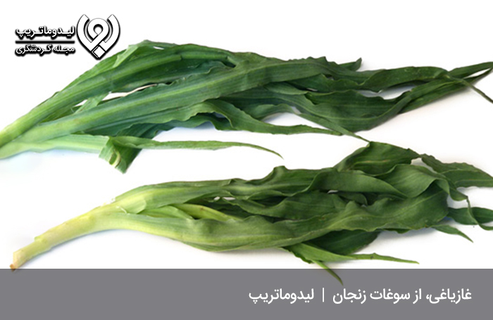 غازیاغی؛ نوعی گیاه خودرو و معطر