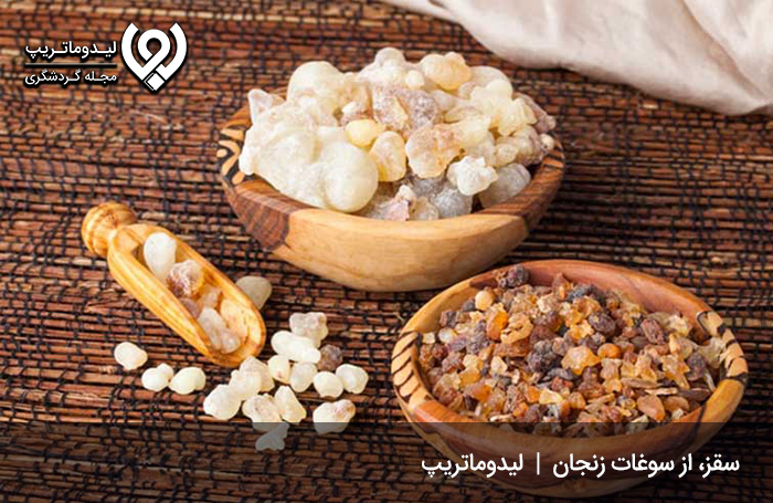 سقز؛ شیره لذیذ گیاهی