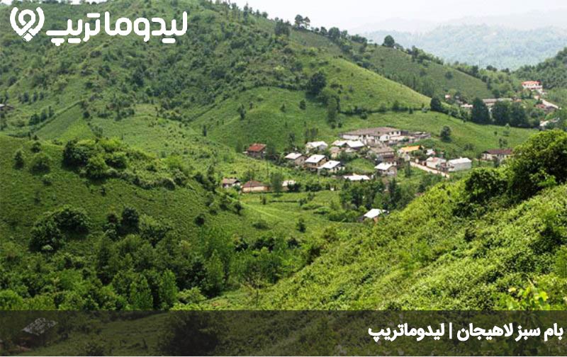 بام سبز لاهیجان