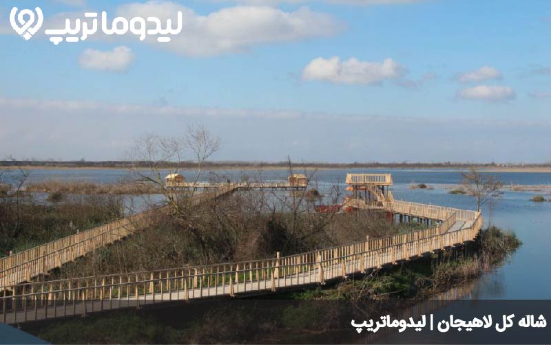 امیر کلایه