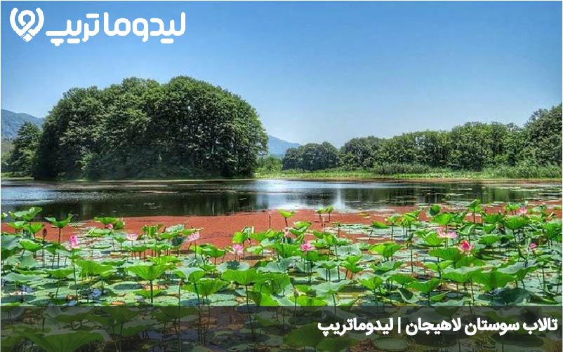 تالاب سوستان