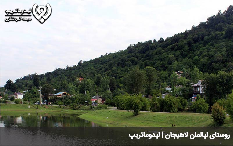 لیالمان