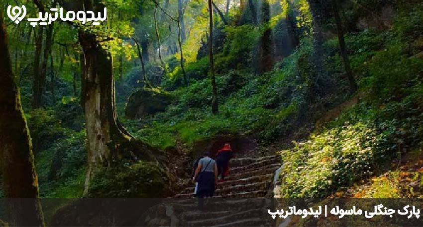 پارک جنگلی ماسوله